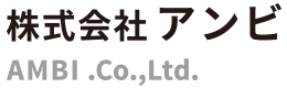 株式会社アンビ